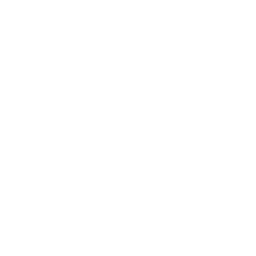 Nuno Pinho Refurb Services magnifying glass icon